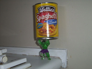 spaghetti nz new zealand watties
